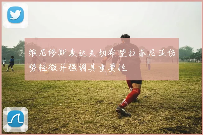 维尼修斯表达关切希望拉菲尼亚伤势轻微并强调其重要性
