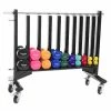 Sport-Thieme Mobile Storage Rack For Fitness Dumbbells