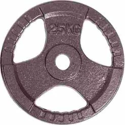 Sport-Thieme Competition Cast Iron Weight Disc -Sport-Thieme shop 146 2366