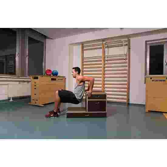 Sport-Thieme Combi Plyo Box 9 Sport-Thieme Combi Plyo Box - Image 7