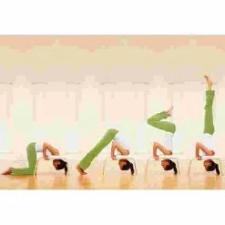 Feetup "Classic" Trainer -Sport-Thieme shop 259 6802 2