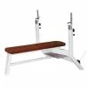 Sport-Thieme "SQ" Olympic Bench -Sport-Thieme shop 312 3108