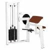Sport-Thieme "SQ" Biceps Machine -Sport-Thieme shop 312 4101
