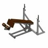 Sport-Thieme "SQ" Decline Bench -Sport-Thieme shop 312 4808 1