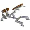 Sport-Thieme "OV" Back Extension Bench -Sport-Thieme shop 312 8406